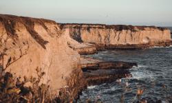 Featured image of post Introduction